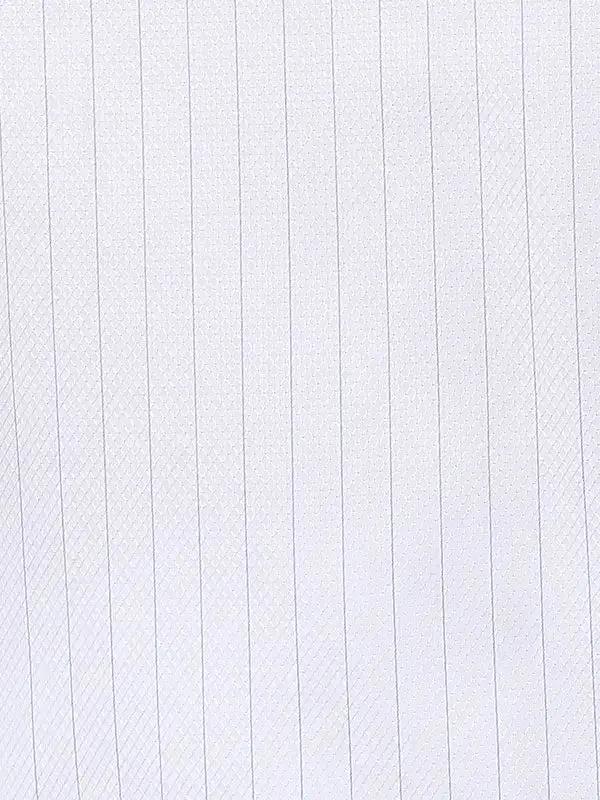 Men Blue Contemporary Fit Stripe Cotton Shirts